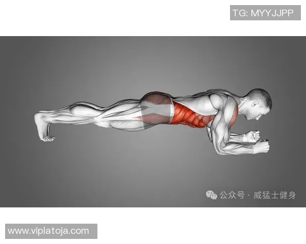 全面解析力量训练对身体素质提升的作用及科学训练方法