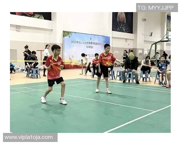 南京羽毛球队转型之路的成败得失与未来展望分析