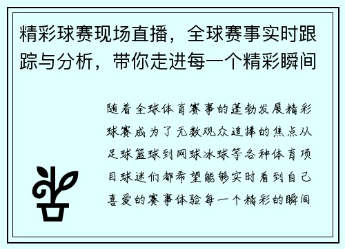 精彩球赛现场直播，全球赛事实时跟踪与分析，带你走进每一个精彩瞬间